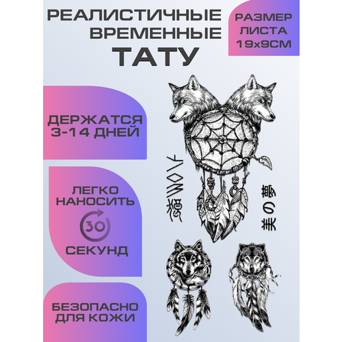 ���� ���� ���������� �������������� �����, ������ ������