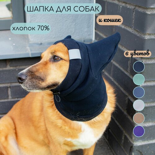 ���� ����� ����� � ��������������� ����� ��� ����� � �����, ������ ������