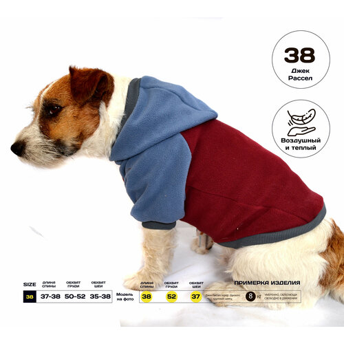 ���� ���� ��� ����� Mini Zodiac ������ ���� ������ ������ (38 ������, ����� �����), ������ ������