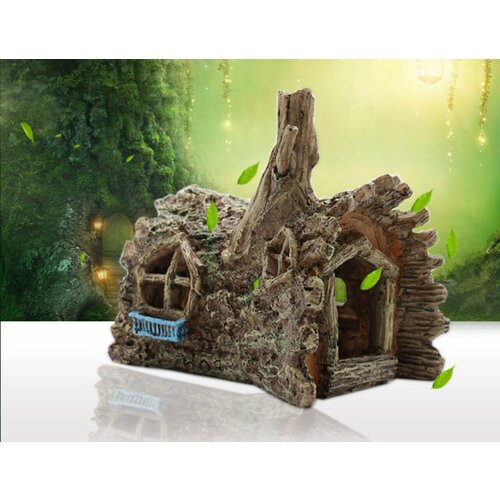 ���� ��������� ��� ��������� ����� �� ������, ������ ������