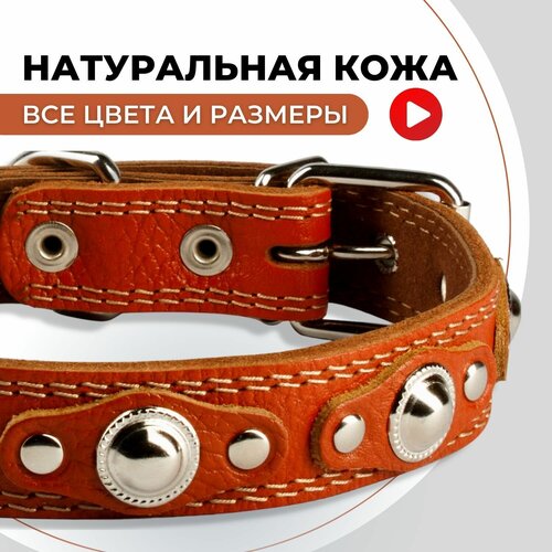 ���� ������� ������� ��� ����� ������� � ������� �����, ��� ������ ������� �����, ������ ������