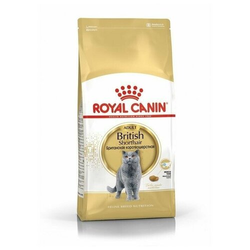    Royal Canin British Shorthair   , 400 , 1 .   -     , -,   