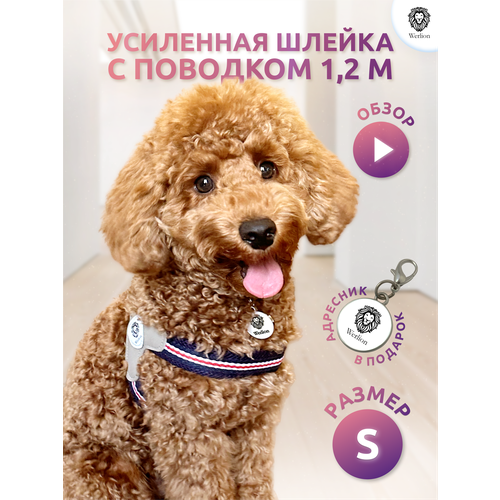 ���� ������ ��� ����� � �������� S, ������ ������