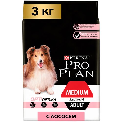    Pro Plan     ,  1 .  3 .  3000 ,  