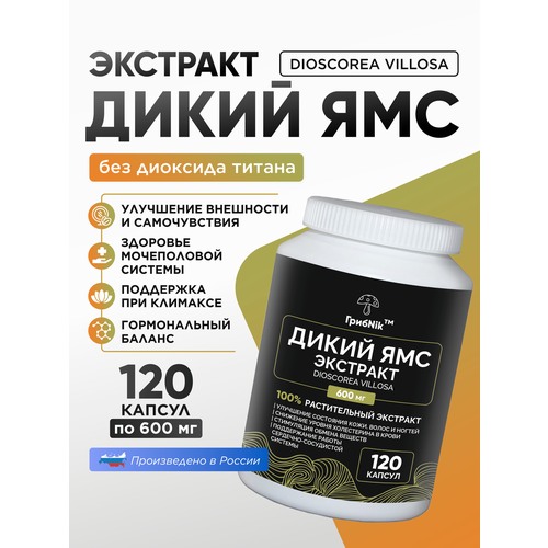 ���� ����� ��� - ��������� - �������� �� ����Nik - 120 ������ �� 600��, ������ ������