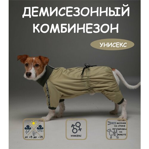 ���� ���������� ��� ����� DOGMODA ������� ������� ����� ������ 4, ������ ������