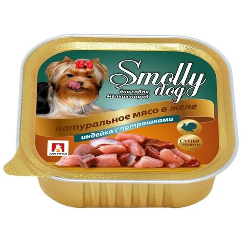       Smolly Dog, , ,  1 .  100    -     , -  