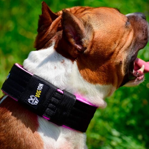 ���� ������� ��� ����� ������� � ������� �����. ������ 5.5 ��. ������ �������. ������ ������. ������ 53-65 ��. ���� ������ � �������, ������ ������