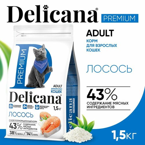  DELICANA       ,    1,5    -     , -  