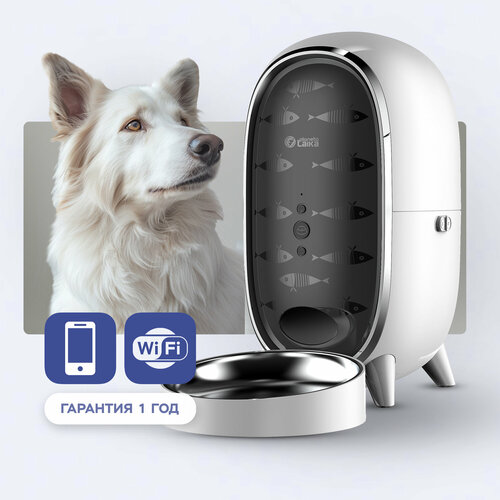 ���� ����� �������������� �������� ��� ����� � ����� Planeta Laika � �������, Wi-Fi, ������ ������