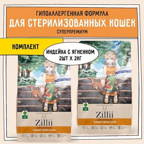           ,  ZILLII (), 4  (2 .  2 )       -     , -  