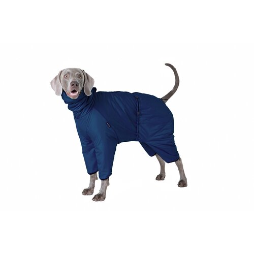 ���� ���������� ���������� ��� ����� ������� � ������� �����, �����-�����, �3, ������ ������