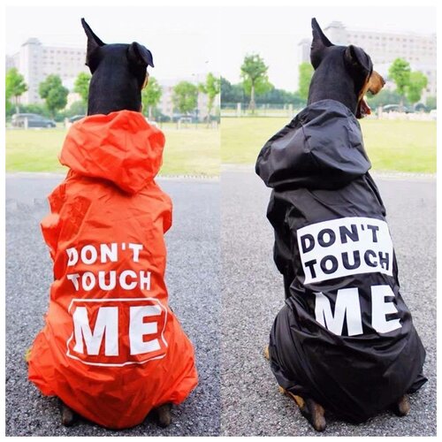 ���� �������� ��� ����� ������� ����� 