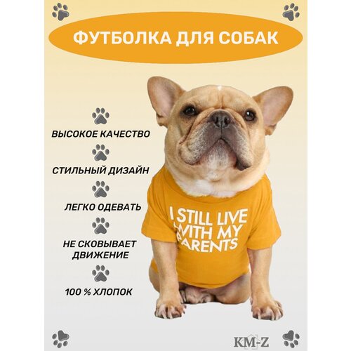 ���� �������� ��� ����� ������ � ������� �����, ��� �����, ��� �����, ��� ������ � �����. ������ ��� ����� � �����. ������-S ������, ������ ������