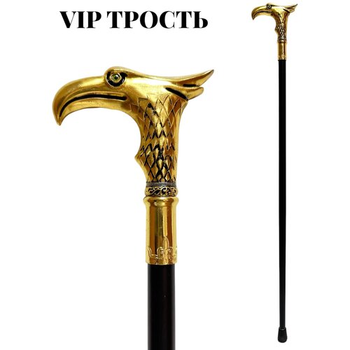 ���� ������ , ������ ��� ������, ������ �������, ������ ��� �������, �����������, ������ � �������, ������ ������