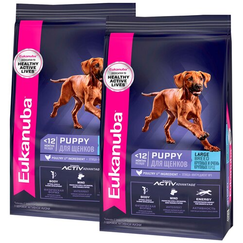  EUKANUBA PUPPY & JUNIOR LARGE BREED     (3 + 3 )   -     , -  