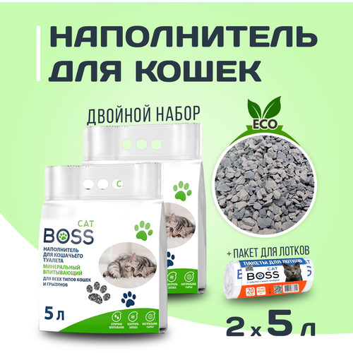       () CatBoss, 10 ( 52) +     ( 20 )   -     , -  