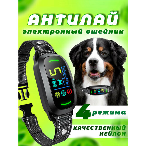 ���� ������� ������� QW-120, ������ ������