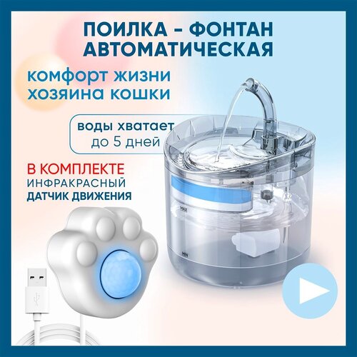 ���� ������ ��� ����� � ����� � ������������ �������� � ��������� / ���������� / ������� ������ ������ / ������ ������ ��������������, ������ ������