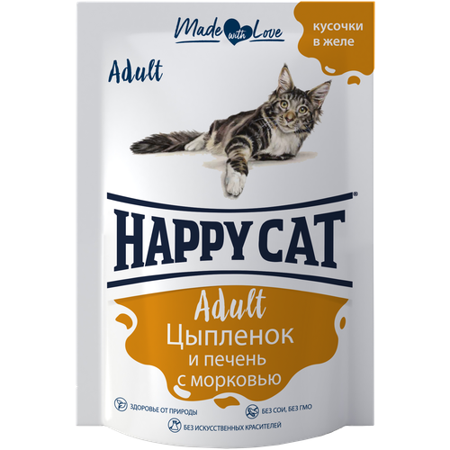      Happy Cat  ,  ,   22 .  100  (  )   -     , -,   