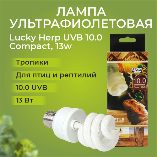    Lucky Herp UVB 10.0 Compact, 13w   -     , -  