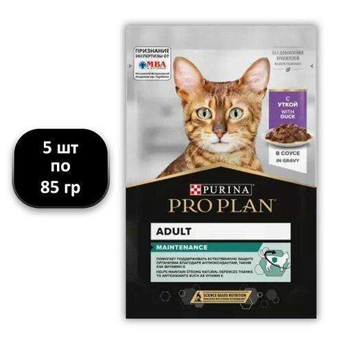  (5 .) 85 , Purina, PRO PLAN, Adult, Maintenance,   (),   , 