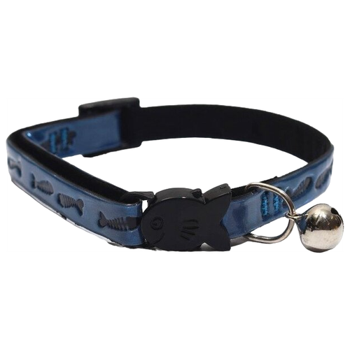 ���� ������� ����� �� ��������������� ��������� ����� �������, ������ ������