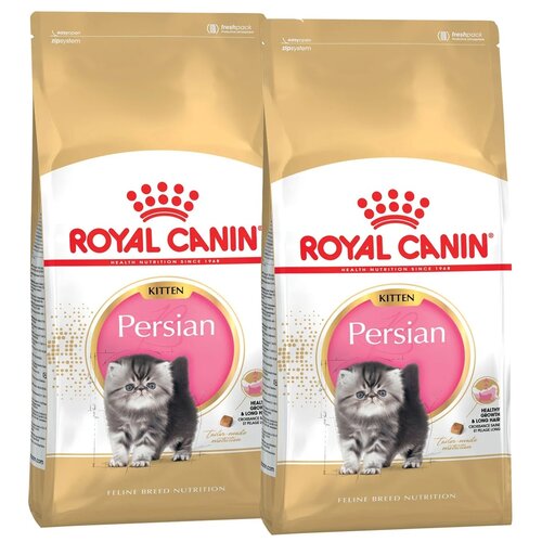      Royal Canin Kitten Persian     4  12  2 .  2000    -     , -  