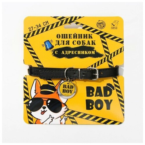     Bad boy  ,  27-34    -     , -,   