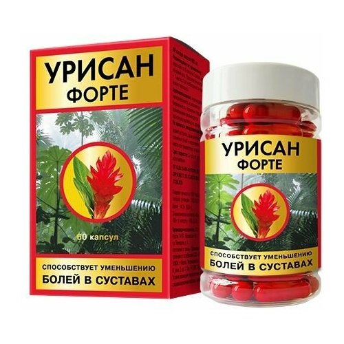 ���� ������ ����� ������� 650�� 60��, ������ ������