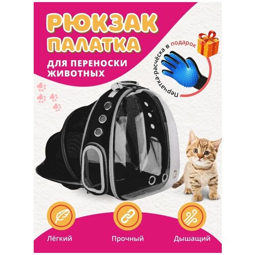 ���� ������ ������� ��������� ��� �����, ����� � �������� / ���������� ������ ��� ��������� �������� �� 7 ��, ������ ������