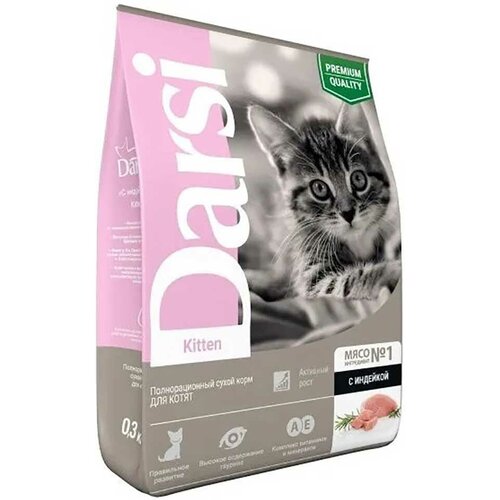    Darsi    kitten 300 63321   -     , -  