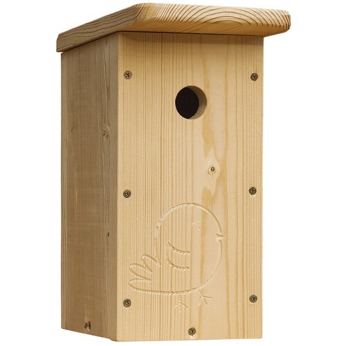 ���� ���������� 