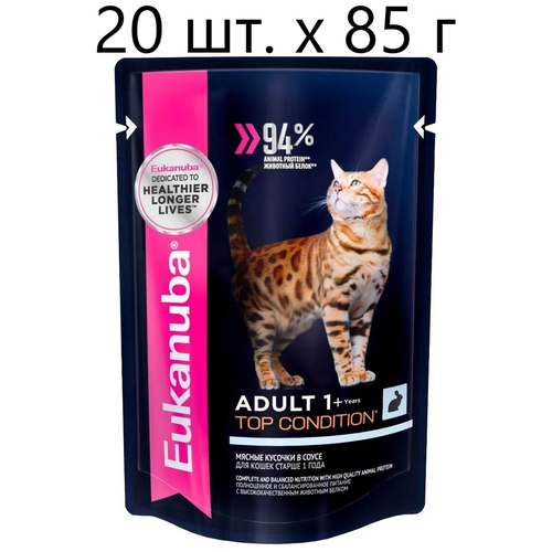      Eukanuba Top Condition Adult 1+ years,      ,  , 20 .  85  (  )   -     , -  