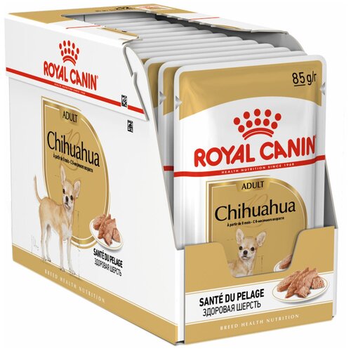  ROYAL CANIN CHIHUAHUA ADULT      (85   12 )   -     , -  