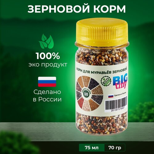 ���� ���� ��� �������� ������ ��������, ��������� ��� ��������, ������� � ����, ������ ������