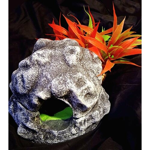 ���� ������� ������ �� ������ 