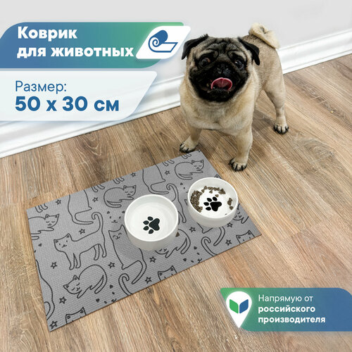 ���� ������ ��� �������� ��� ����� ����������������� ����� 