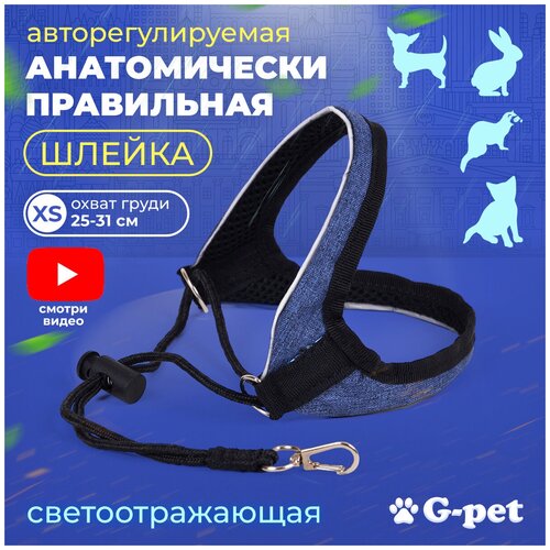          3  G-pet   - XS (25-31 )          -     , -  