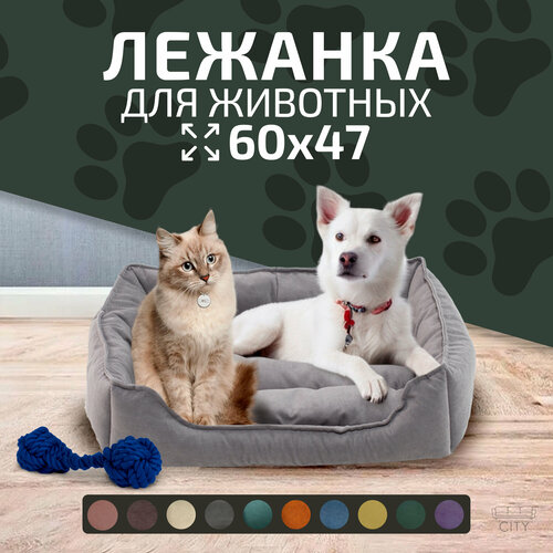 ���� ������ ������� City HD ��� ����� � �����, 60�47�15 ��, ������ XL, �����, ������ ������