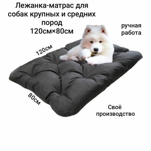 ���� �������-������ ��� ������� � ������� �����, ������ ������