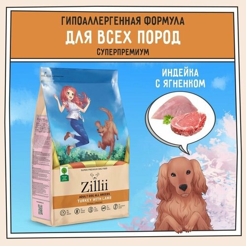      800 ,  ZILLII (),      -     , -  