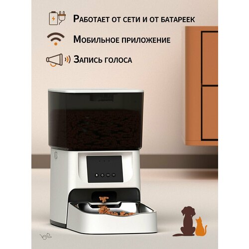 ���� �������������� �������� ��� ����� � ����� � ������ �� ����������� �����, � Wi-Fi, ������ ������