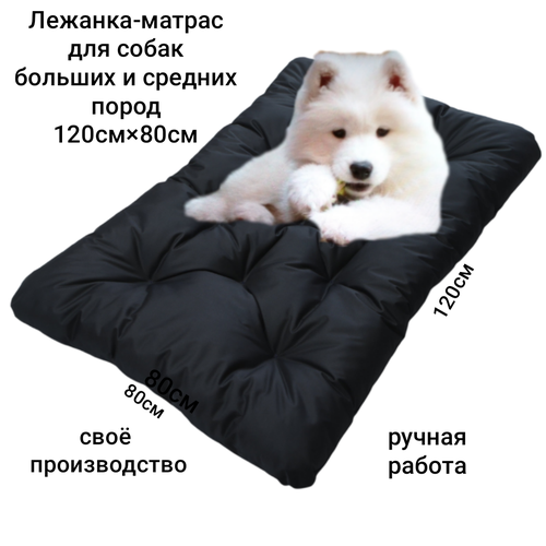 ���� �������-�������� ��� ������� � ������� �����, ������ ������