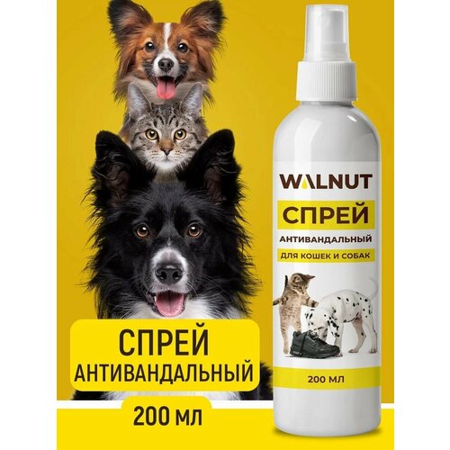 ���� ����� �������������� ��� ��������� ��������� ����� � �����, ������ ������