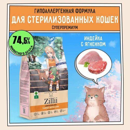          2 ,  ZILLII (),      -     , -  