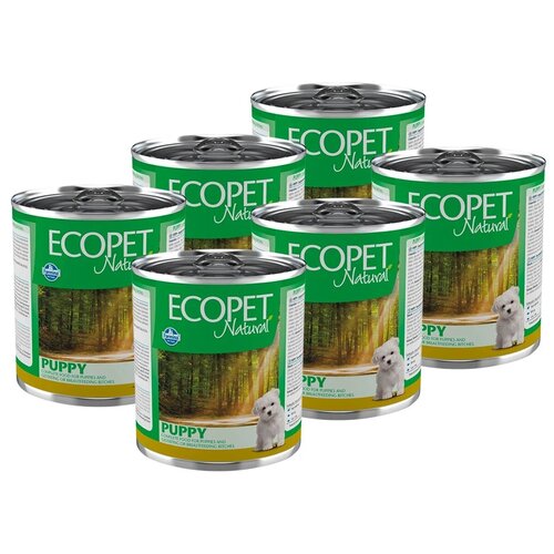   ECOPET NATURAL PUPPY  ,     (300   6 )   -     , -,   