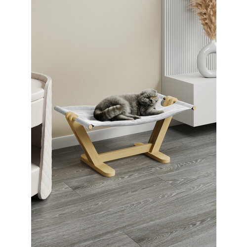 ���� ����� ��� ����� � ����� 