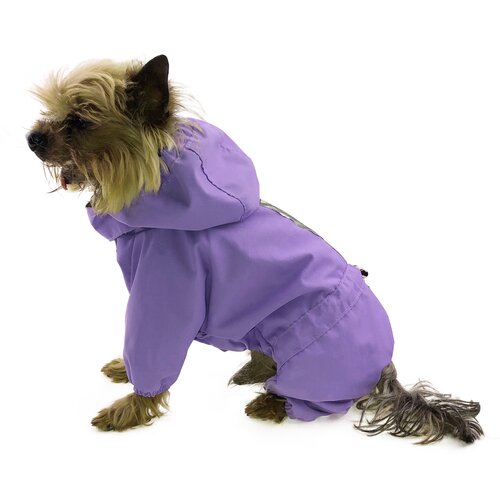 ���� ������������ ���������� ��� ����� ������ ����� 