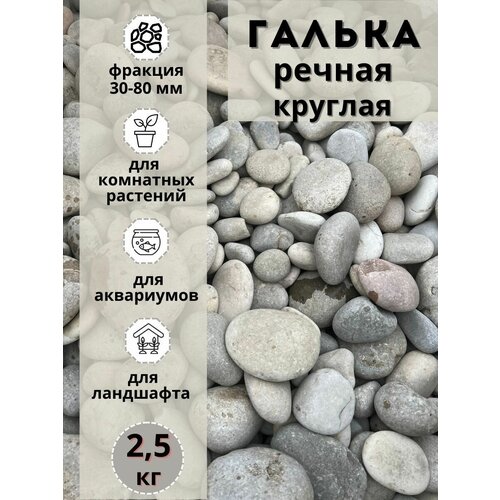 ���� ������ ������ ������� 30-80 �� (2.5��) ����� ��� ���������/����������, ������ ������